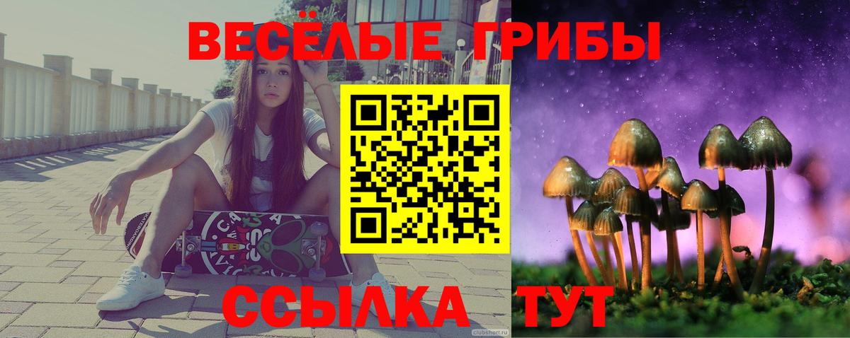 Галлюциногенные грибы MAGIC MUSHROOMS  Вход с VPN  Галлюциногенные грибы Psilocybe  Богородск 